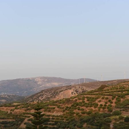 Paraspori Traditional Home With View Dış mekan fotoğraf