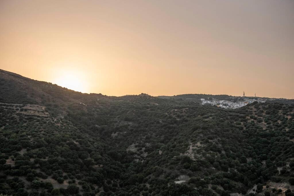 Paraspori Traditional Home With View Dış mekan fotoğraf